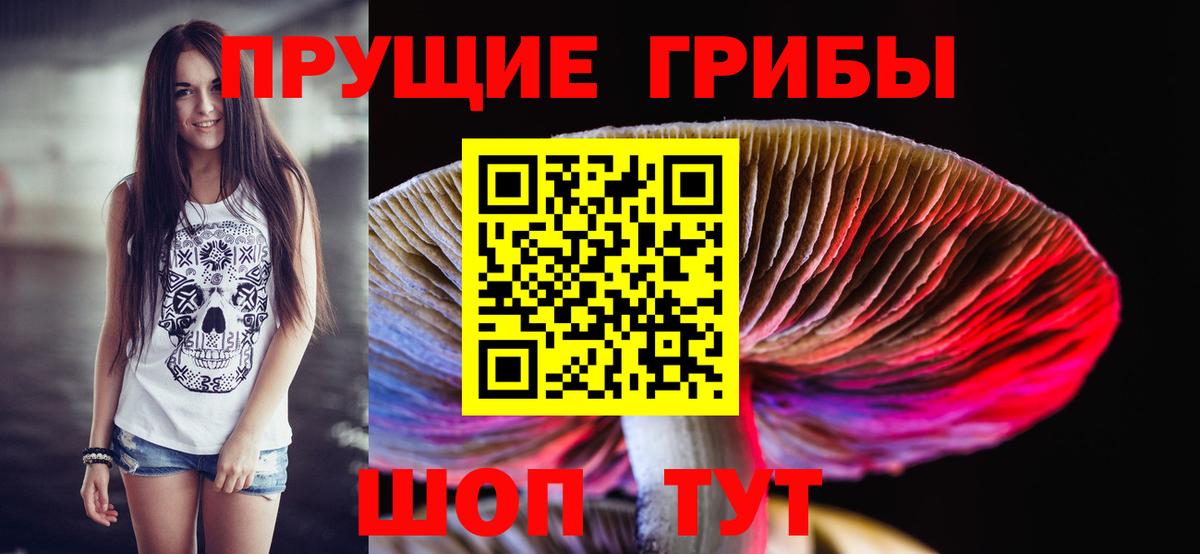 наркотики  Псилоцибиновые грибы Psilocybine cubensis  Вход с VPN  Зеленокумск 